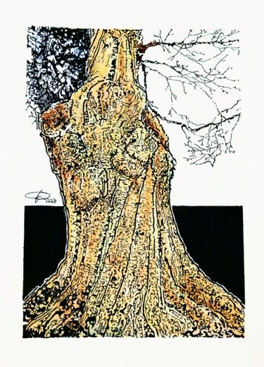 Σχέδιο με τίτλο "Albero" από Pasquale Luzzo, Αυθεντικά έργα τέχνης, Ακουαρέλα
