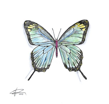 Drawing titled "FARFALLA" by Pasquale Luzzo, Original Artwork, Watercolor