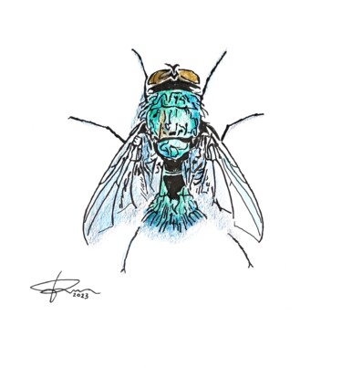 Drawing titled "MOSCA" by Pasquale Luzzo, Original Artwork, Watercolor