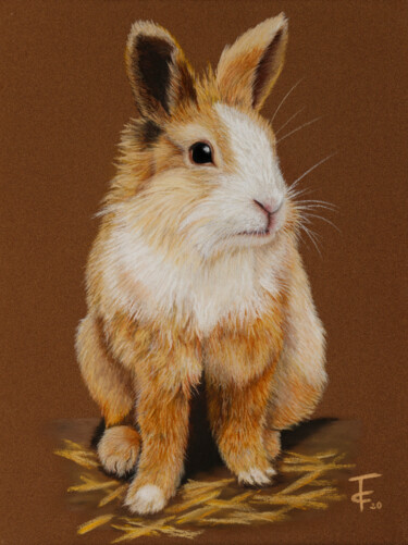 Drawing titled "Mon lapin" by Pastels Et Velours, Original Artwork, Pastel Mounted on Cardboard