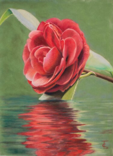 Drawing titled "Reflets camélia" by Pastels Et Velours, Original Artwork, Pastel Mounted on Cardboard