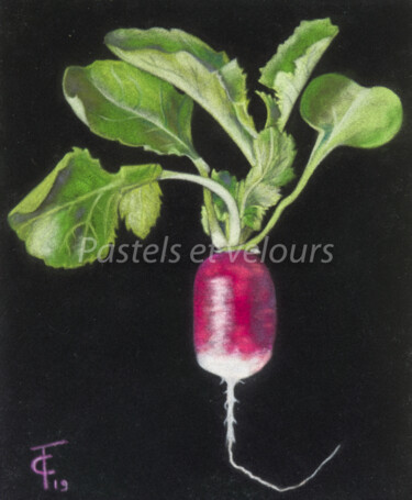 Tekening getiteld "Pas un!..." door Pastels Et Velours, Origineel Kunstwerk, Pastel Gemonteerd op Karton