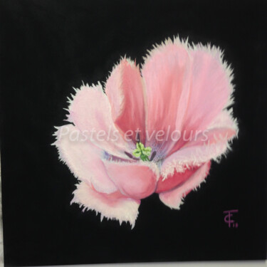 Dessin intitulée "Tulipe perroquet" par Pastels Et Velours, Œuvre d'art originale, Pastel Monté sur artwork_cat.