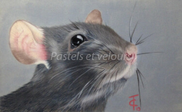 Drawing titled "Albert" by Pastels Et Velours, Original Artwork, Pastel Mounted on Cardboard