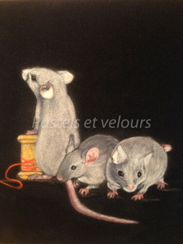 Drawing titled "Bonané!" by Pastels Et Velours, Original Artwork, Pastel