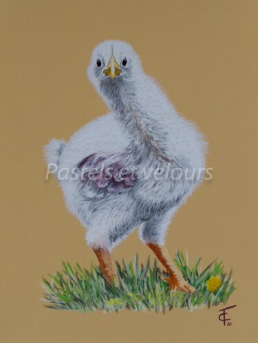 Drawing titled "Ma poulette" by Pastels Et Velours, Original Artwork, Pastel Mounted on Cardboard