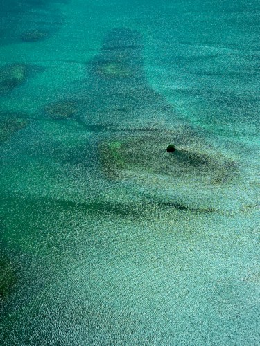 Photographie intitulée "île soyeuse" par Pati Guyot, Œuvre d'art originale, Photographie numérique