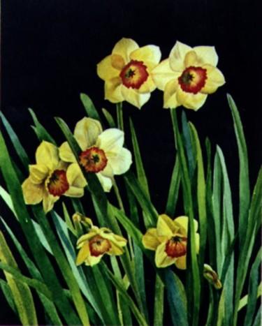 Schilderij getiteld "Daffodils" door Tatiana Kremlev (Chvetsova), Origineel Kunstwerk, Olie