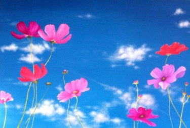 Painting titled "Cosmos Flowers" by Patricia Matser, Original Artwork, Acrylic Mounted on Wood Panel