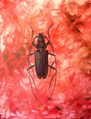 Painting titled "big insect n°2" by Patou.B, Original Artwork