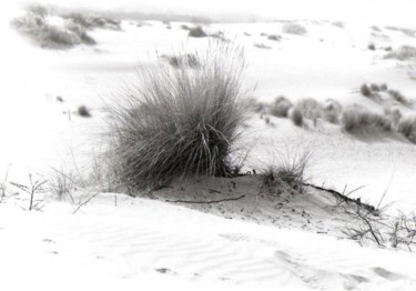 Fotografie getiteld "Dune" door Pato Van Hecke, Origineel Kunstwerk