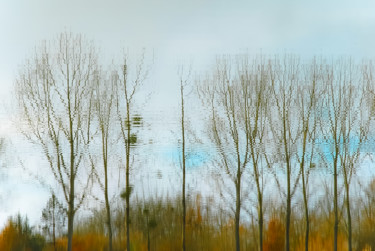 Photographie intitulée "Arborescence impres…" par Patrice Corbin, Œuvre d'art originale, Photographie numérique