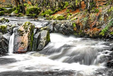 Photographie intitulée "Eaux floues" par Patrice Corbin, Œuvre d'art originale, Photographie numérique