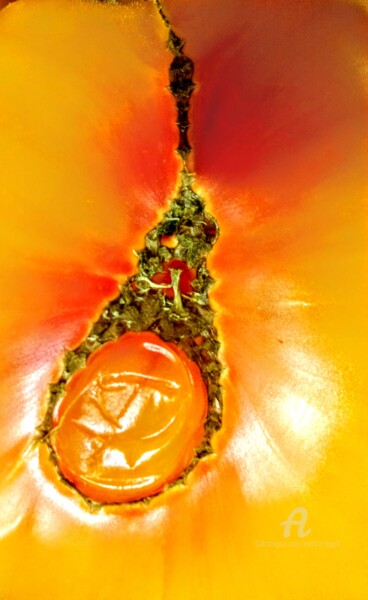 Photographie intitulée "Tomate jaune et son…" par Patrice Le Gall, Œuvre d'art originale, Photographie non manipulée