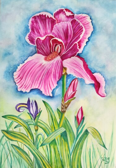 Painting titled "Iris Carmin" by Patrice Le Gall, Original Artwork, Oil