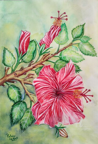 Peinture intitulée "Branche d'Hibiscus" par Patrice Le Gall, Œuvre d'art originale, Aquarelle
