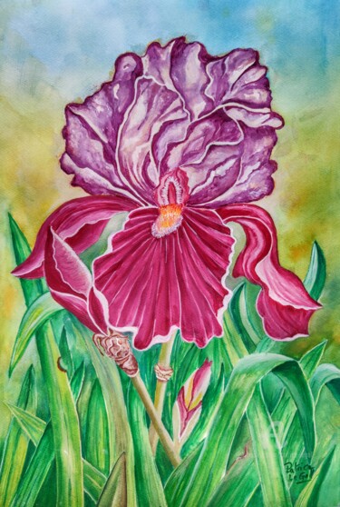 Painting titled "L'Iris Germanica" by Patrice Le Gall, Original Artwork, Watercolor