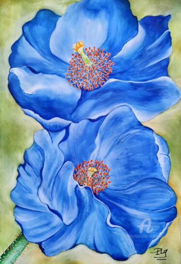 Peinture intitulée "Les Pavots bleus du…" par Patrice Le Gall, Œuvre d'art originale, Aquarelle