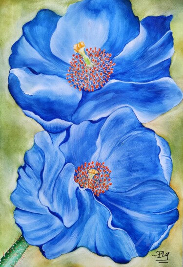 Les Pavots bleus du Tibet Peinture intitulée "Les Pavots bleus du…" par Patrice Le Gall, Œuvre d'art originale, Aquarelle