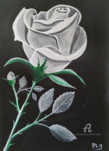 Картина под названием "La Rose Blanche" - Patrice Le Gall, Подлинное произведение искусства, Акварель