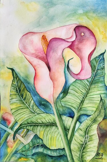 Painting titled "Arum Rose" by Patrice Le Gall, Original Artwork, Watercolor