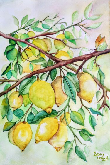 "Citrons de Menton" başlıklı Tablo Patrice Le Gall tarafından, Orijinal sanat, Suluboya