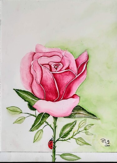 Peinture intitulée "La Rose et la Cocci…" par Patrice Le Gall, Œuvre d'art originale, Aquarelle