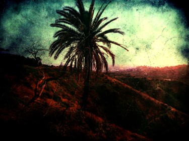 Photography titled "hollywood hill" by Patrice Pelissier, Original Artwork, Digital Photography