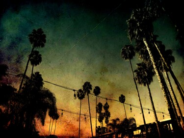 Fotografia intitolato "palm Los Angeles" da Patrice Pelissier, Opera d'arte originale, Fotografia digitale