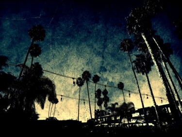 Photographie intitulée "California Palm" par Patrice Pelissier, Œuvre d'art originale, Photographie numérique
