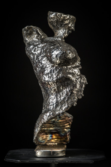 Sculpture titled "Courbe" by Bueno Patrice, Original Artwork, Metals