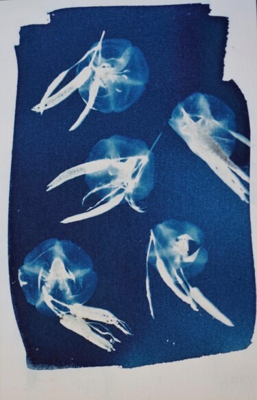 Photographie intitulée "La nuit des méduses" par Patricia Anquetil, Œuvre d'art originale, Photographie non manipulée