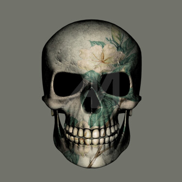 Skull Digitale Künste mit dem Titel "Skull" von Patricia Antonio, Original-Kunstwerk, Foto-Montage