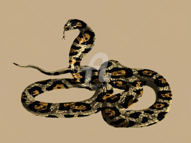 Artes digitais intitulada "Snake Jaguar" por Patricia Antonio, Obras de arte originais, Foto Montagem