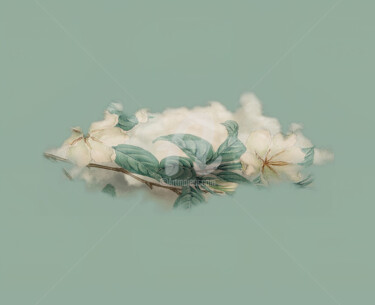 Digital Arts titled "Flower cloud" by Patricia Antonio, Original Artwork, Photo Montage