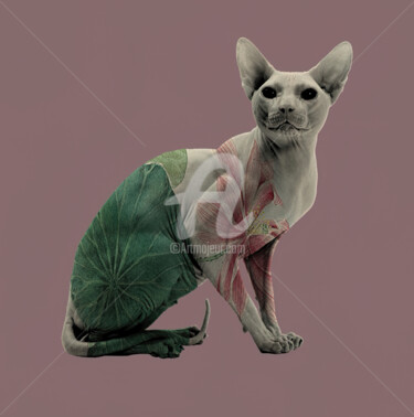 Artes digitais intitulada "Nuked Cat" por Patricia Antonio, Obras de arte originais, Foto Montagem