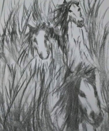 Drawing titled "Caballos" by Patricia Brown (Artedibujopbrown), Original Artwork, Graphite