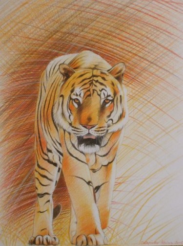 Peinture intitulée "Tigre" par Patricia Colapinto, Œuvre d'art originale, Huile