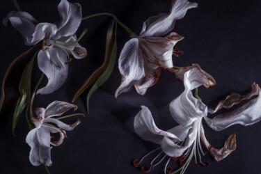 Fotografia zatytułowany „Florale 7” autorstwa Patricia Giudicelli Sister, Oryginalna praca, Fotografia cyfrowa