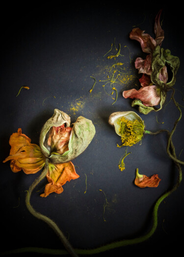 Fotografia zatytułowany „Florale 11” autorstwa Patricia Giudicelli Sister, Oryginalna praca, Fotografia cyfrowa