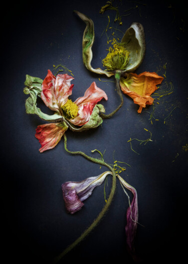 Photographie intitulée "Floral 2" par Patricia Giudicelli Sister, Œuvre d'art originale, Photographie numérique Monté sur Au…