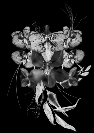 Photographie intitulée "Nocturne végétale 1" par Patricia Giudicelli Sister, Œuvre d'art originale, Photographie numérique