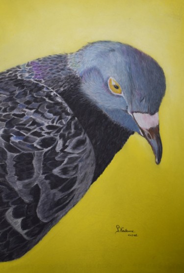 Drawing titled "Tocky le pigeon" by Patricia Neveux, Original Artwork, Pastel