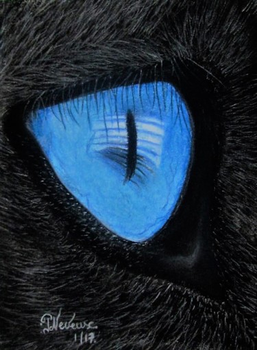 Œil de chat 4 Dessin intitulée "Œil de chat 4" par Patricia Neveux, Œuvre d'art originale, Pastel