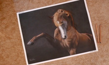 Painting titled "Cavalo" by Patricia Silva, Original Artwork, Pastel