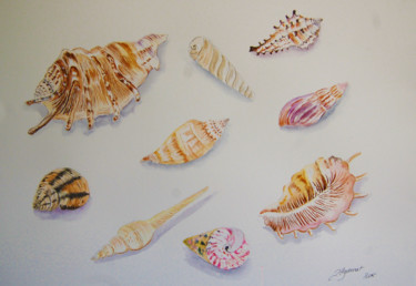 Pintura intitulada "coquillages- aquare…" por Patricia Hyvernat, Obras de arte originais, Aquarela
