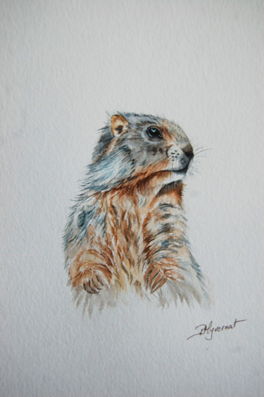 Painting titled "petite marmotte - a…" by Patricia Hyvernat, Original Artwork, Watercolor