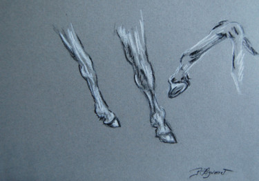 Drawing titled "étude de jambes che…" by Patricia Hyvernat, Original Artwork, Chalk