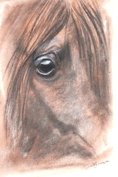 Tekening getiteld "regard equin n2 - é…" door Patricia Hyvernat, Origineel Kunstwerk, Krijt