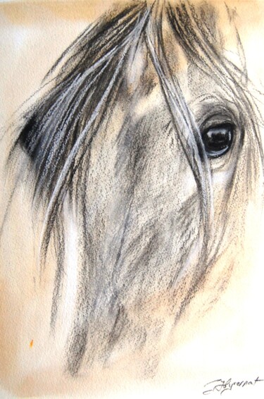 Dibujo titulada "regard equin N4  -…" por Patricia Hyvernat, Obra de arte original, Tiza